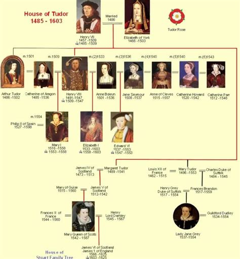 king henry 7th family tree